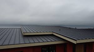 Best Commercial Roofing Services  in Platte, SD